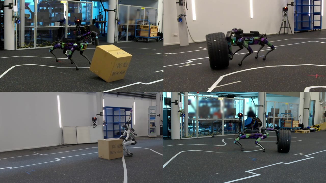 Spot and G1 robots performing loco-manipulation tasks
